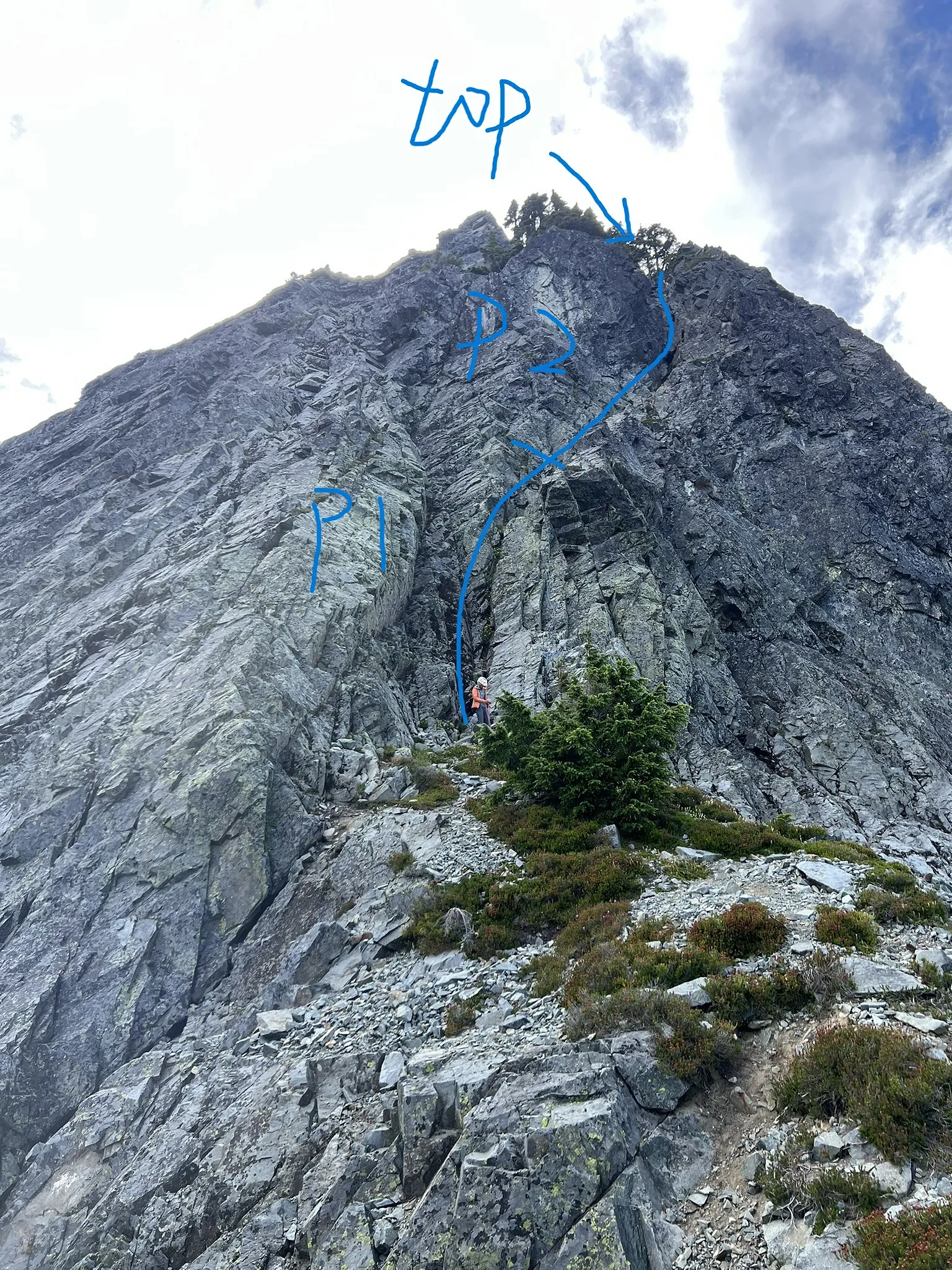 Follow blue route to P2 anchor tree
