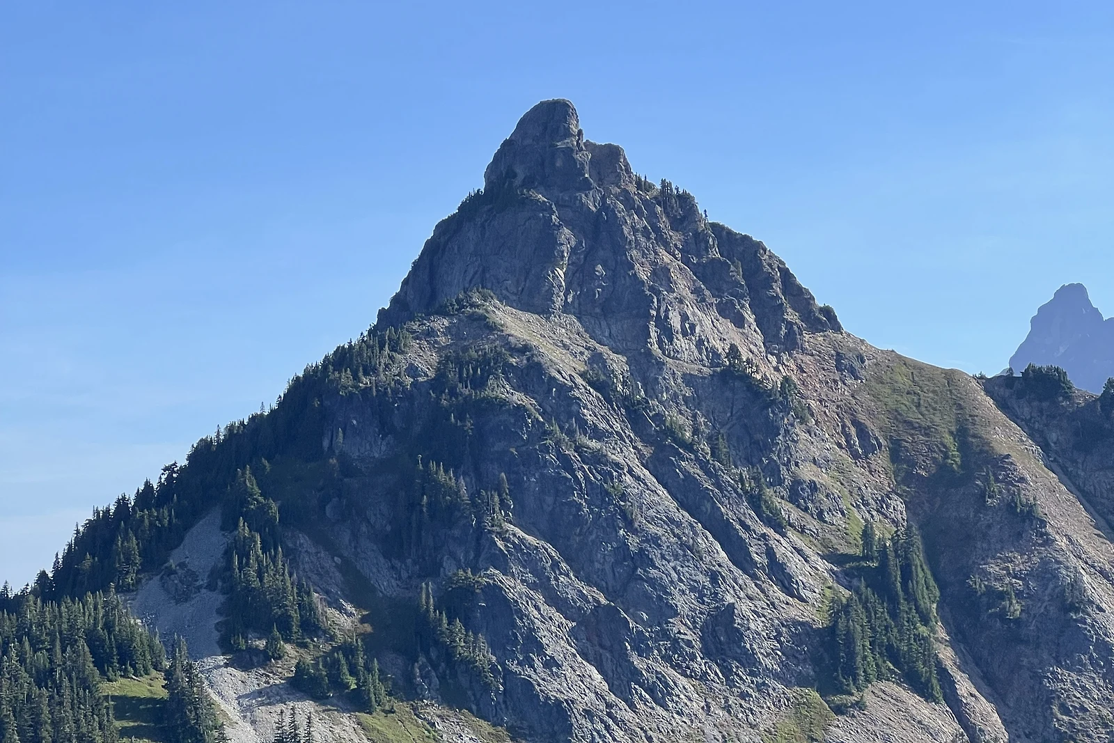 Huckleberry Mountain