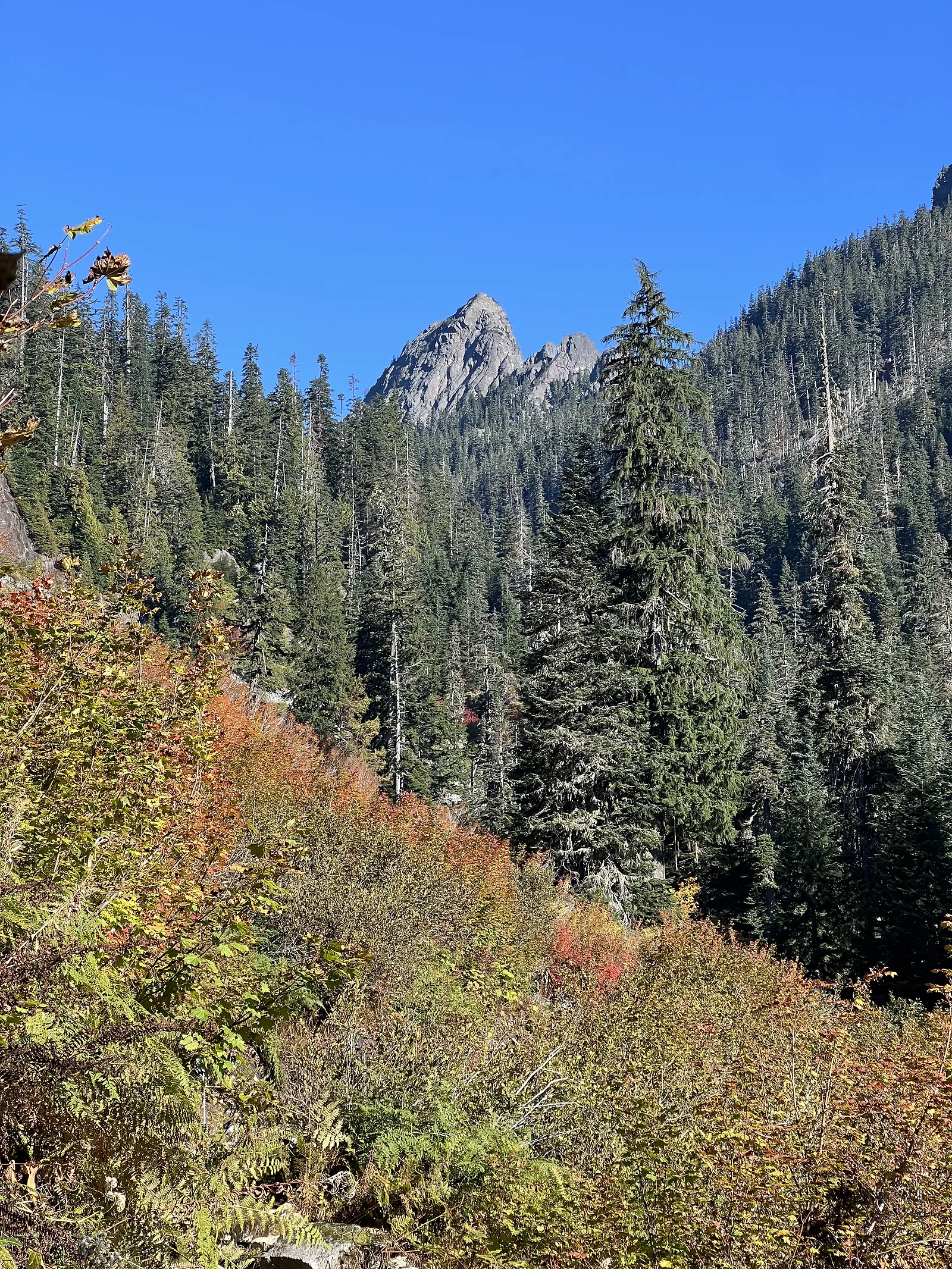 First view of Kaleetan Peak with fall color