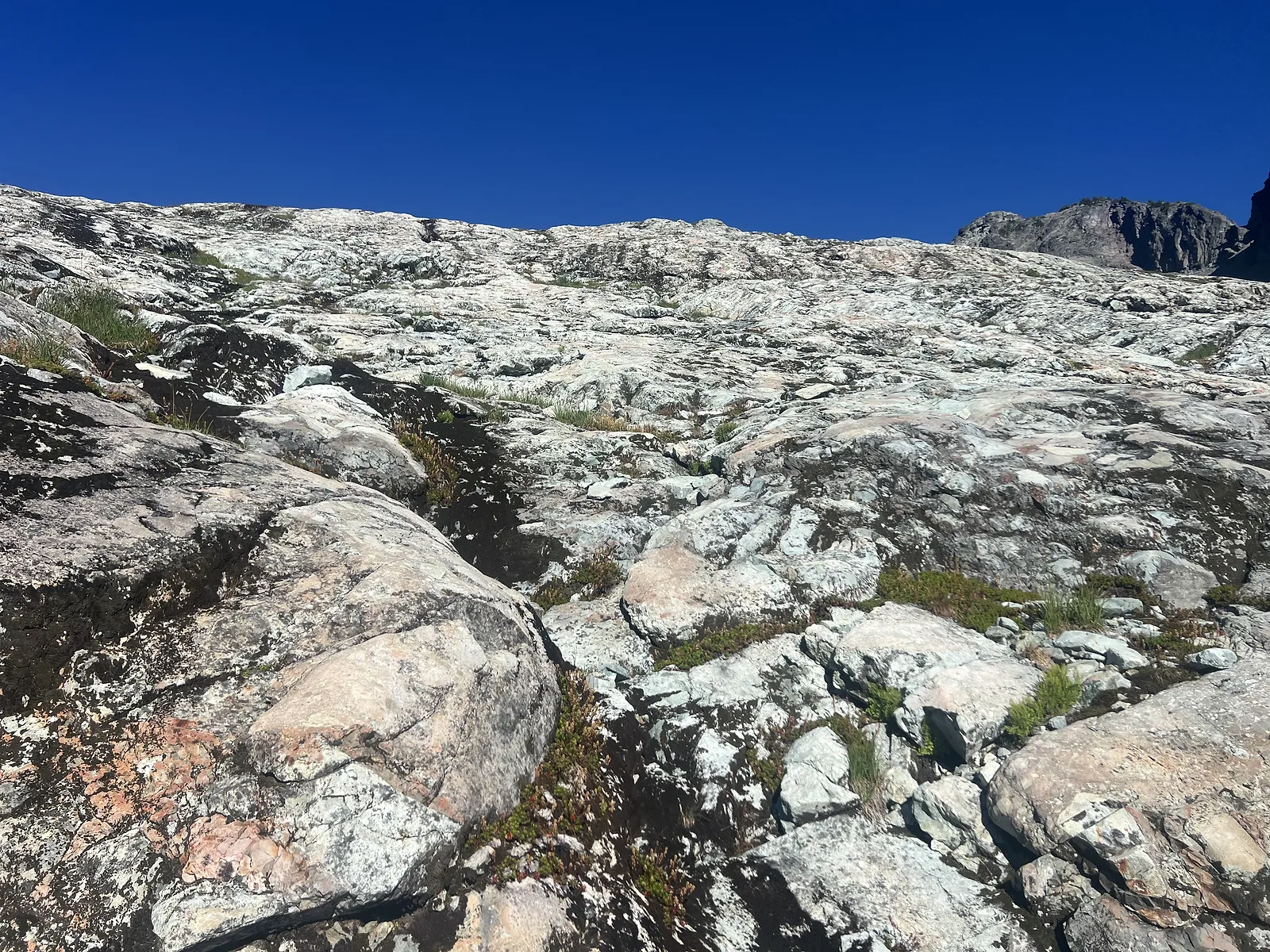 White slab section