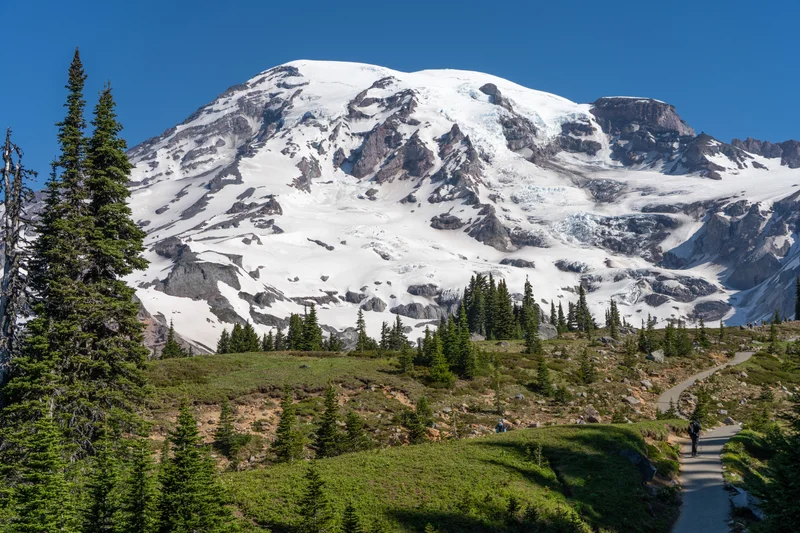 Mount Rainier, Disappointment Cleaver