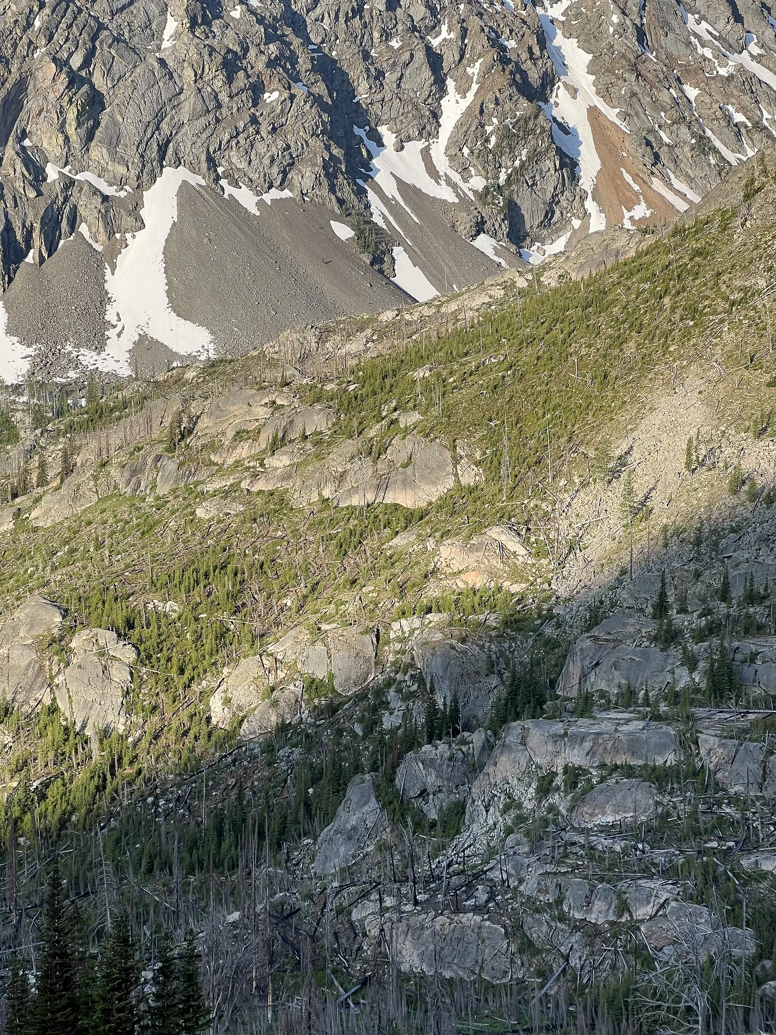Looking down burn area to abernathy peak