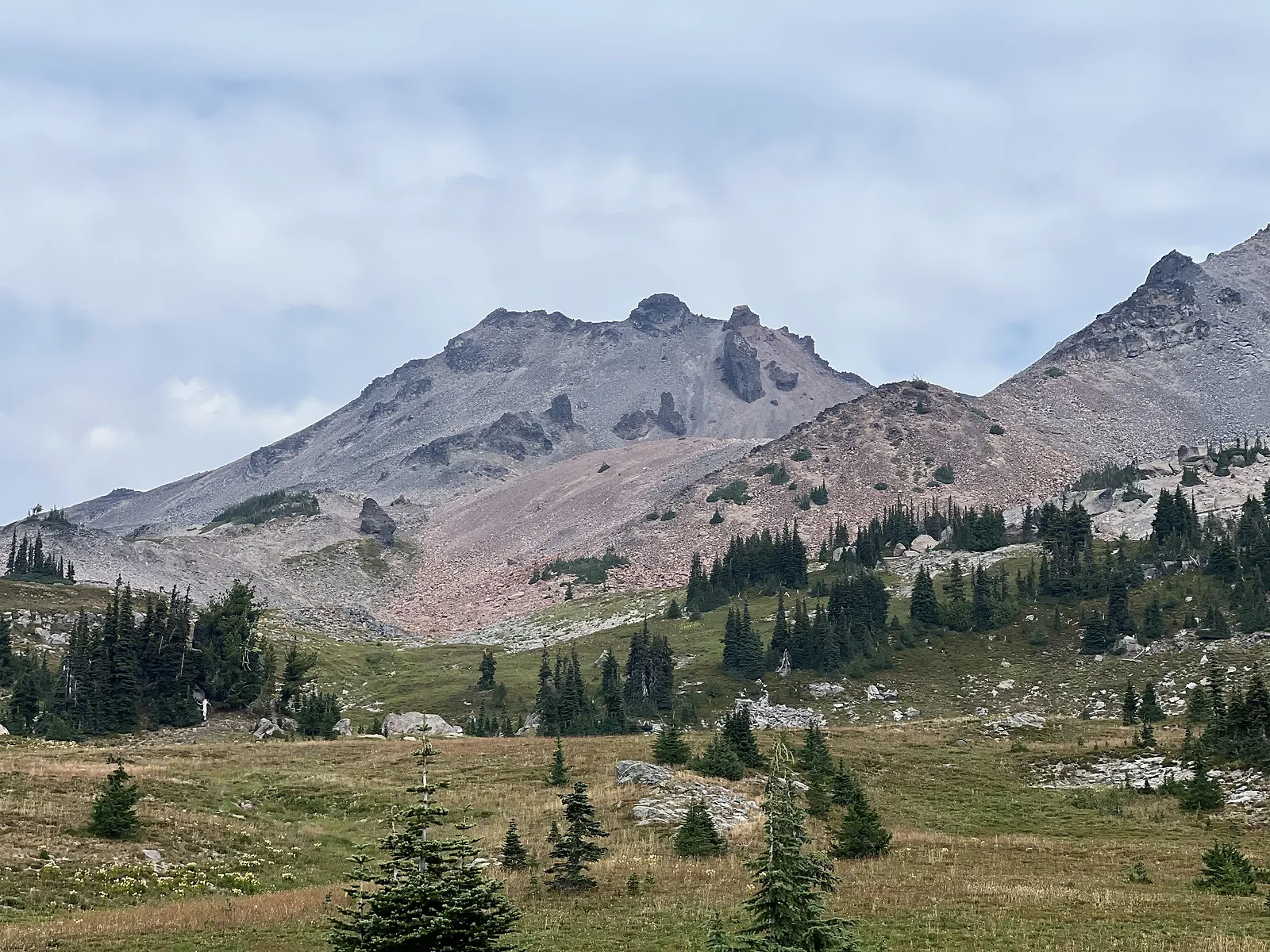 Old Snowy Mountain and Snowgrass Flat